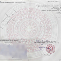 Hàng Siêu Hiếm! Rẻ Nhất Đấu Giá Dạ Trạch - Khoái Châu