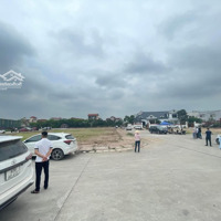 Hàng Siêu Hiếm! Rẻ Nhất Đấu Giá Dạ Trạch - Khoái Châu
