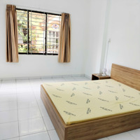 Cho Thuê Cc Mini 713 Bùi Đình Túy Bình Thạnh Có Bancol Cho Nuôi Thú Cưng Gần Chợ Bà Chiểu Sát Q1