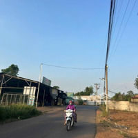 Cơ Hội Đầu Tư Đất Mặt Tiền Đường Nhựa Cây Gáo Giá Tốt Nhất Khu Vực Shr Full Thổ