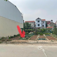 Bán Rẻ Lô Đất Đấu Giá Đẹp, View Hồ Xã Lại Yên, Hoài Đức, Hà Nội. 57,7M2 Mặt Tiền 4,51M Giá 155 Triệu/M2
