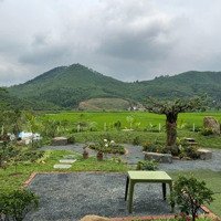 Bán Đất 14618M2 Tại Xã Tiến Xuân, Giá Nhỉnh 2 Triệu M2