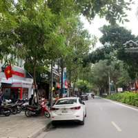 Rẻ Nhất Xa La, Bán Biệt Thự Xa La 226M2X4T, Cách Phố Hạnh Hoa 100M, Vị Trí Đắc Địa, Nhỉnh 40 Tỷ