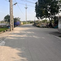 Chính Chủ Bán 56M2 Đất Tam Hưng, Thanh Oai Ô Tô Đỗ Cửa Giá Đầu Tư