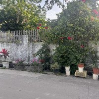 Chính Chủ Bán 56M2 Đất Tam Hưng, Thanh Oai Ô Tô Đỗ Cửa Giá Đầu Tư