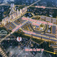 Bán 58.8M2 Đất Dịch Vụ Yên Vĩnh, Kim Chung Đường Rộng 11M Ngay Sát Hinode Royal Park. Vỉa Hè 2.5M