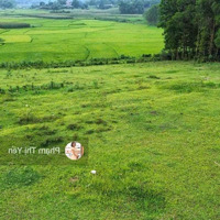 Chuyển Nhượng Lại Mảnh Đất View Cánh Đồng Cực Thoáng Đẹp 2000M2/100M2 Tc Tại Lương Sơn - Hoà Bình