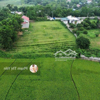 Chuyển Nhượng Lại Mảnh Đất View Cánh Đồng Cực Thoáng Đẹp 2000M2/100M2 Tc Tại Lương Sơn - Hoà Bình