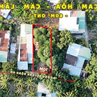 Bán Đất Cam Hòa, 1,25 Tỷ, 308M2 Có 60M2 Thổ Mặt Tiền 10M, Pháp Lý Đầy Đủ
