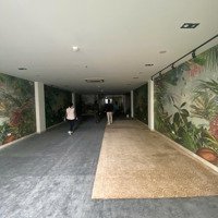 Cho Thuê Mặt Bằng Kinh Doanh Mặt Phố Nguyễn Khả Trạcdiện Tích360M,Mặt Tiền20M Dễ Dàng Nhận Diện Thương Hiệu