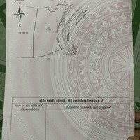Đất Trồng Cây Lâu Năm... Đất Chăn Nuôi