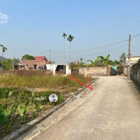 Tài Chính Bé Tẹo Vị Trí Đẹp Khu Dân Cư Đông Đúc Giàu Có Tại Thôn 8 Xã Kỳ Sơn Thủy Nguyên Hải Phòng