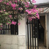 Nhà Cấp 4 ,Diện Tích86,5M2 , Phường Hiệp Phú Q9