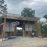 Bán Rẻ Đất Mặt Tiền Đường Lạc Hòa (Diên Hòa). Có Sẵn Mô Hình Kdoanh Cà Phê Hoặc Dịch Vụ Ăn Uống.