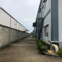 Cho Thuê Hoặc Bán Nhà Xưởng Trong Kcn Nhơn Trạch Đồng Nai