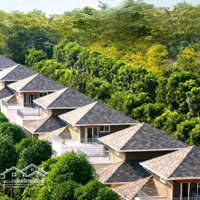 Bán Biệt Thự Ecod, 395 M2, 3 Phòng Ngủ 3 Vệ Sinh Đầy Đủ Nội Thất Tại Đường Trúc, Xuân Quan, Văn Giang, Hưng Yên