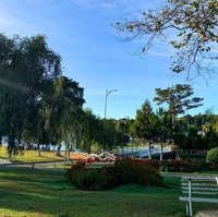 Bán Những Bđs Đẳng Cấp View Hồ Xuân Hương, Thành Phố Đà Lạt