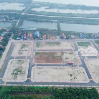 Rẻ Nhất Đấu Giá Phạm Hồng Thái (Hàm Tử) Cũ
