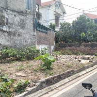 Bán Đất Phúc Lợi Long Biên 50M Lô Góc Mặt Tiền 5 M Ô Tô Vào Đất, Chạy Vòng Quanh Giá Bán 6.2Tỷ