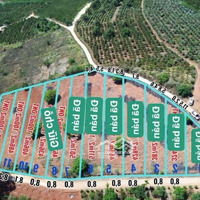Đan Phượng- Lâm Hà-Lâm Đồngdiện Tích400M2 Sẵn 100M2 Tc Ngang 8M Mặt Tiền Đường Bê Tông Tới Đất Chỉ 399 Triệu