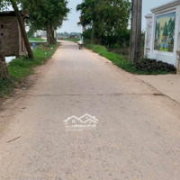 Bán Đất Đẹp Tại Xuân Cẩm, Hiệp Hòa, Bắc Giang, 1,15 Tỷ, 100M2