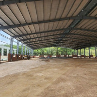 Cho Thuê Xưởng Sản Xuất Tân Uyên Bình Dương