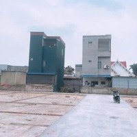 Nhanh Tay Sở Hữu Lô Đất 60M2 Tại Bạch Mai - Đồng Thái - An Dương.