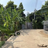 Bán Gấp Mảnh Vườn Tại Thống Nhất, Giá 790 Triệu/Sào, Sổ Hồng Riêng - Ngân Hàng Hỗ Trợ Vay Hơn 70%