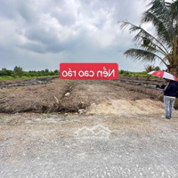 1000M2 Đất Mặt Tiền Đường 2 Xe Ô Tô Tránh Nhau ,Tại Bến Lức ,Long An ,Cách Tphcm Chỉ 25P Đi Xe.