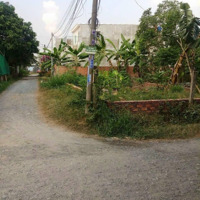 Bán Lô Góc 2Mặt Tiền1/ Nguyễn Kim Cương Tân Thạnh Đông 107,2M2 Có Thổ Cư Giá Bán 1Tỷ790 Shr Xd Tự Do