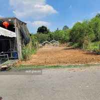 Cần Bán Lô Đất 133M2 Đường Đào Văn Thử, Xã Tân An Hội, Củ Chi Giá Bán 1,4 Tỷ