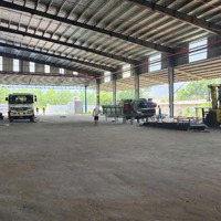 Cho Thuê Nhà Xưởng 13.000M² Có 12 Lò Sấy Gỗ Tại Khu Vực Bình Phước