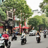 Hoa Hậu..! Phố Huế Giá Đầu Tư 160M2* 8 Tầng* Mặt Tiền 5.5M, Thang Máy, Giá Chào Chỉ 119 Tỷ.