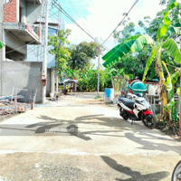 Lô Duy Nhất Sát Vinhomes, Vị Trí Siêu Đẹp, Đường Nhựa 6M, 3.35 Tỷ | 56M2 | Kdc 545 Nguyễn Xiển