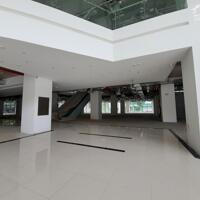  CHO THUÊ NHÀ KHO – MẶT BẰNG KINH DOANH 810M² NGAY MẶT TIỀN NGUYỄN LƯƠNG BẰNG – GIÁ CHỈ 40 TRIỆU/THÁNG! 
