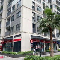 Sở Hữu Shop Chân Đế Kênh Đầu Tư Dòng Tiền Ổn Định, Giá Trị Tăng Bền Vững