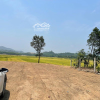 Đất Xây Vườn View Cánh Đồng, 1000M2 Có 100M2 Đất Ở Gần Đường Dh2 Xã Hòa Nhơn