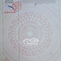 Cơ Hội Đầu Tư Đất Nền Dự Án Vn 1234 Tại Đường Số 8, Long Phước, Quận 9 Cũ (Nay Là Tp Thủ Đức)