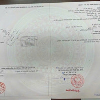 Cơ Hội Đầu Tư Đất Nền Dự Án Vn 1234 Tại Đường Số 8, Long Phước, Quận 9 Cũ (Nay Là Tp Thủ Đức)