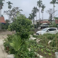 Bán Đất Giá Rẻ Ngõ Ô Tô Vào Được Tận Nơi Tại Lâm Động (Phường Hoàng Lâm), Thủy Nguyên, Hải Phòng