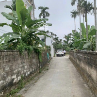 Bán Đất Giá Rẻ Ngõ Ô Tô Vào Được Tận Nơi Tại Lâm Động (Phường Hoàng Lâm), Thủy Nguyên, Hải Phòng