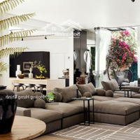 Nhà Giá Tốt - Mặt Tiền Trương Định, P 6, Q 3 - 8X30M - Hầm + 8 Tầng - Hđt: 280 Triệu/Tháng - Giá Bán 68 Tỷ