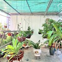Bán nhà Vũ Tông Phan, Thanh Xuân. 71m2 x 3 Tầng. MT 5m. NGÕ THÔNG. Ô TÔ. Hơn 15 Tỷ.