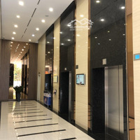 Bán Gấp Căn 3 Phòng Ngủ 100M2, Giá Bán 7.5 Tỷ, Full Nội Thất Đẹp Ở Ngay, Discovery Complex