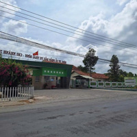 Hot Hot - Chính Chủ Bán Gấp Lô Đất Mặt Tiền Kinh Doanh Ấp Chợ Dưới, Phước Hưng, Trà Cú, Trà Vinh