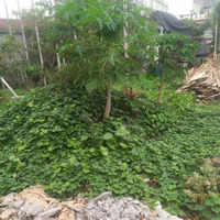 Bán 72M2 Đất Ngang 3,7 Nở Hậu 4,5M2, Ngõ 4M Khu Thiên Lôi - Aeon Mall