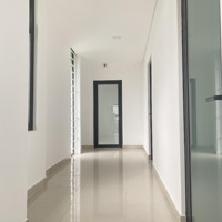 Toà 5 Tầng Mới Xịn, Đang Cho Thuê Kinh Doanh Lưu Trú Tốt, View 2 Mặt Tiền Thoáng