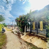 Bán Nhà Hoà Thiện 1 - Ninh An . Giá Tốt