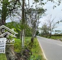 Bán Gấp Đất Thổ Cư 2000M2 Tại Xã Long Hòa, Cần Giờ, 25 Triệu / M2
