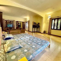 Bán Đất Tặng Nhà 2Tang Trung Tâm Quận ,Thanh Xuân Vị Trí Siêu Hót Sát Gần Viện Bạch Mại Và Các Trư